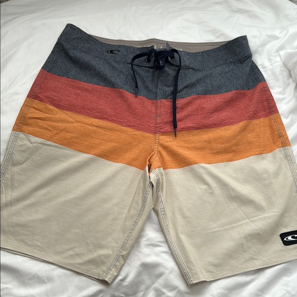 Men's Multicolor Swim Shorts